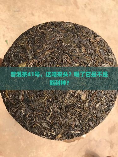 普洱茶41型号