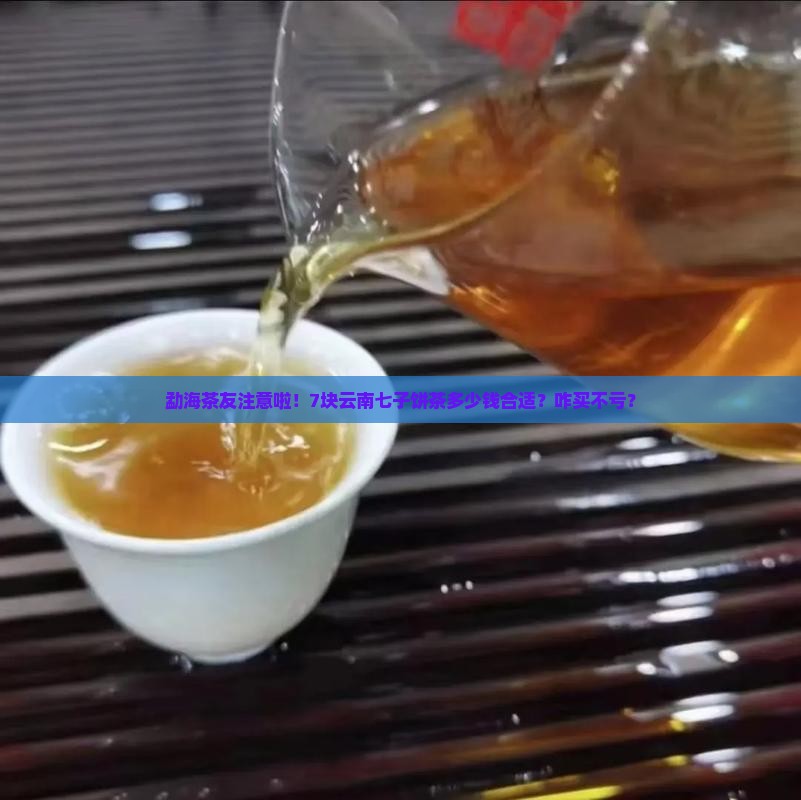 云南勐海七子饼茶价格