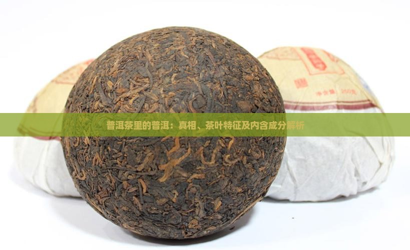 普洱茶里的普洱