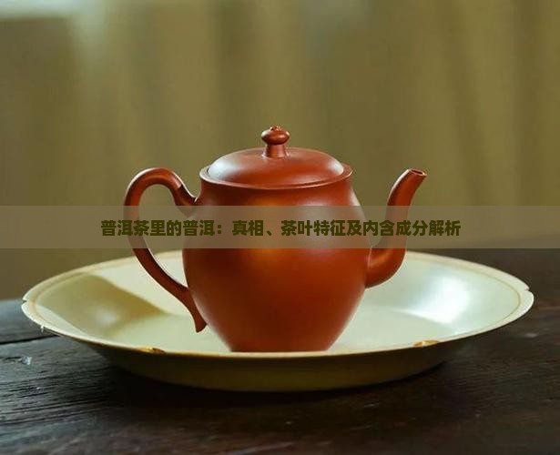 普洱茶里的普洱