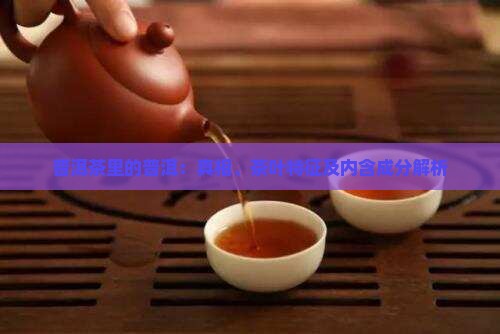 普洱茶里的普洱
