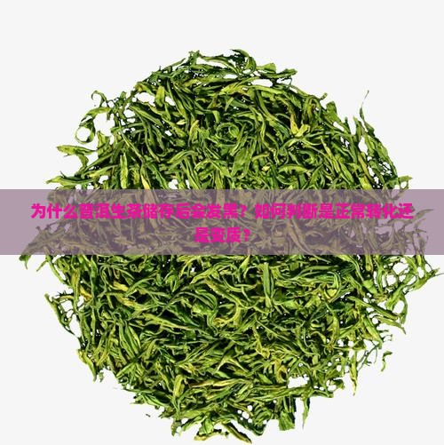 普洱生茶储存发黑