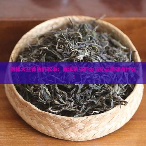 大益普洱茶大益是什么意思