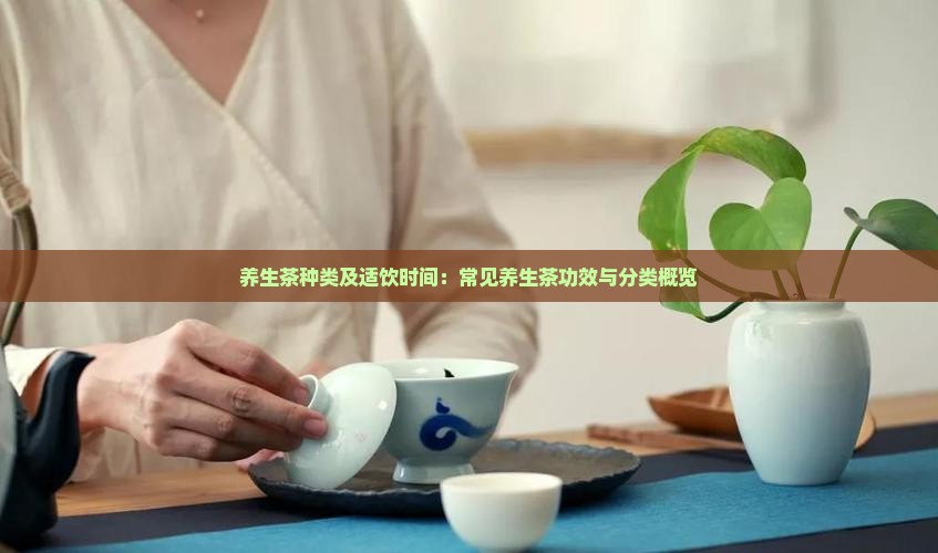 养生茶种类及适饮时间