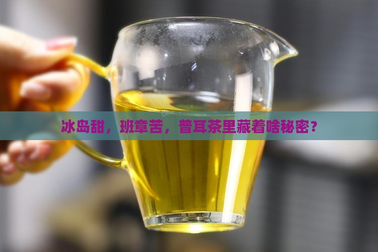 普耳茶冰岛甜班章苦