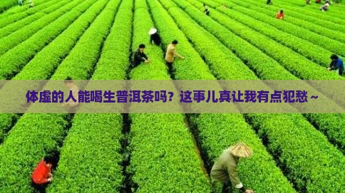 体虚能喝生普洱茶吗
