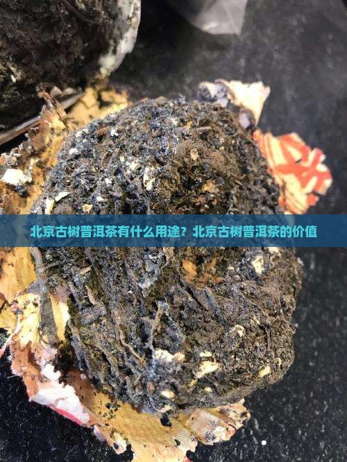 北京古树普洱茶有什么用途