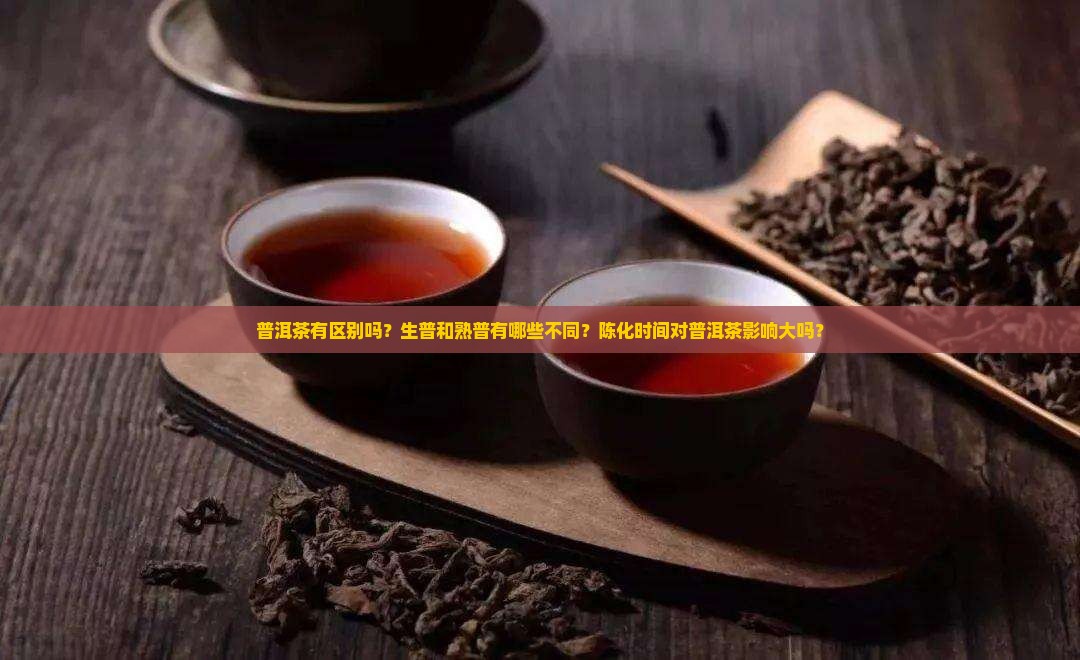 普洱茶有区别吗