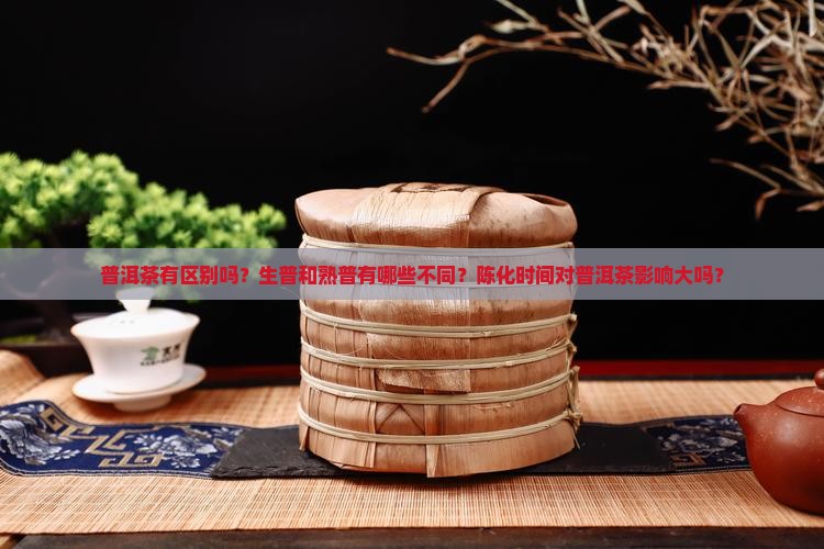 普洱茶有区别吗