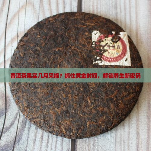 普洱茶果实几月