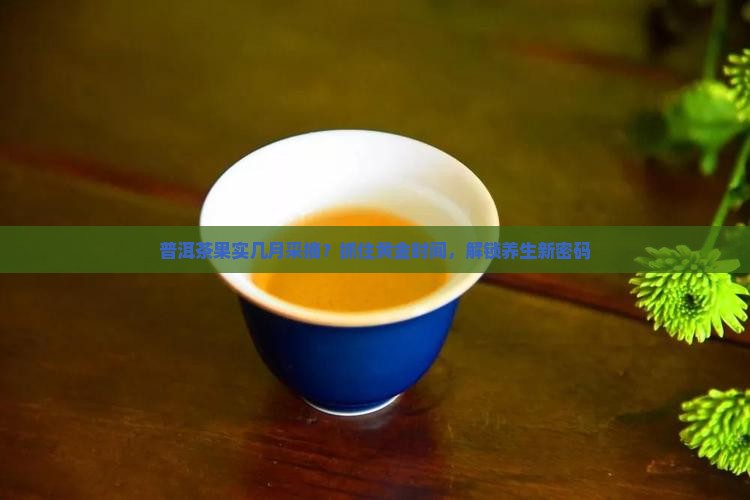 普洱茶果实几月
