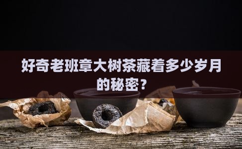 老班章大树茶大概是多少年