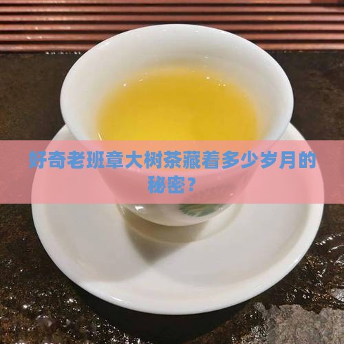 老班章大树茶大概是多少年