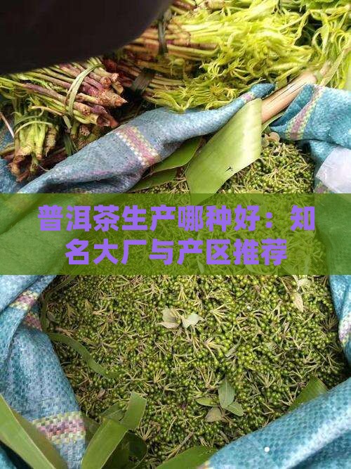 普洱茶生产哪种好