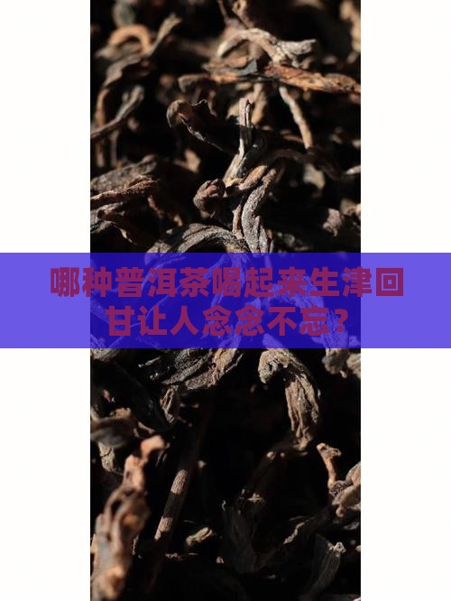 哪种普洱茶是生津回甘好