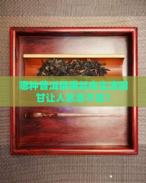 哪种普洱茶是生津回甘好