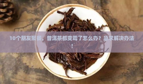 普洱茶都是发霉的吗吗