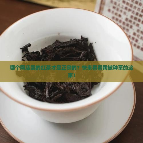 红茶哪个网店正宗