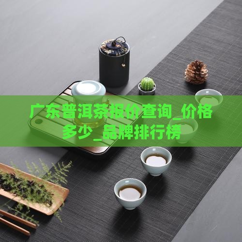 广东普洱茶报价