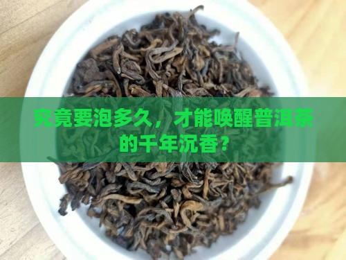 普洱茶最后泡多久