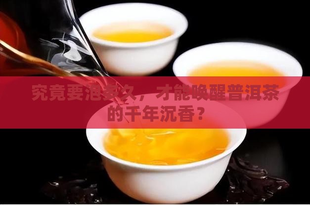 普洱茶最后泡多久