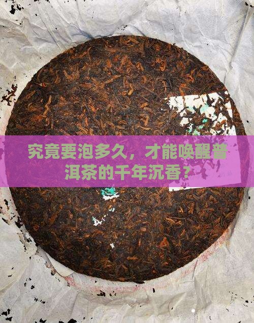 普洱茶最后泡多久