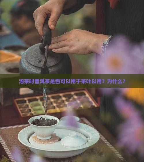 泡茶叶可以用普洱茶吗为什么