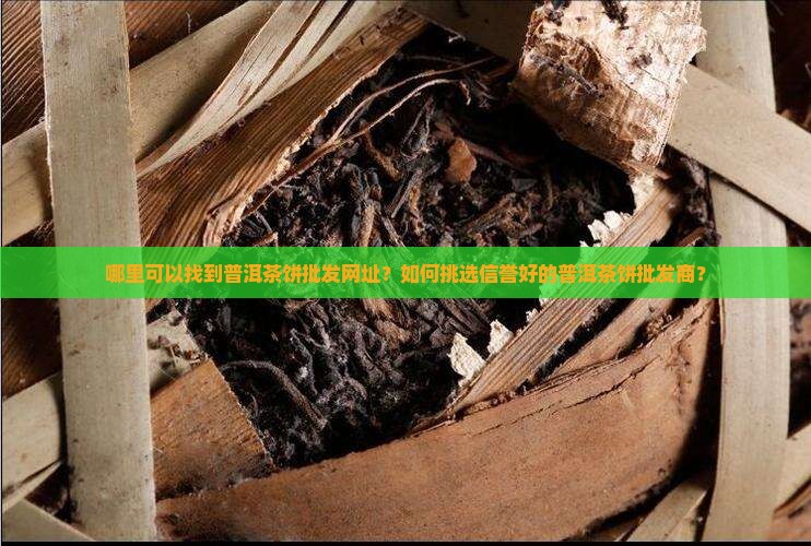 普洱茶饼批发网址在哪里