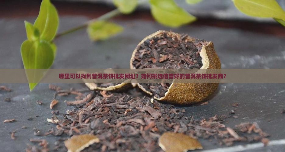 普洱茶饼批发网址在哪里