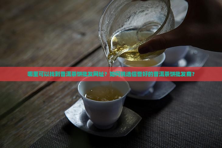 普洱茶饼批发网址在哪里