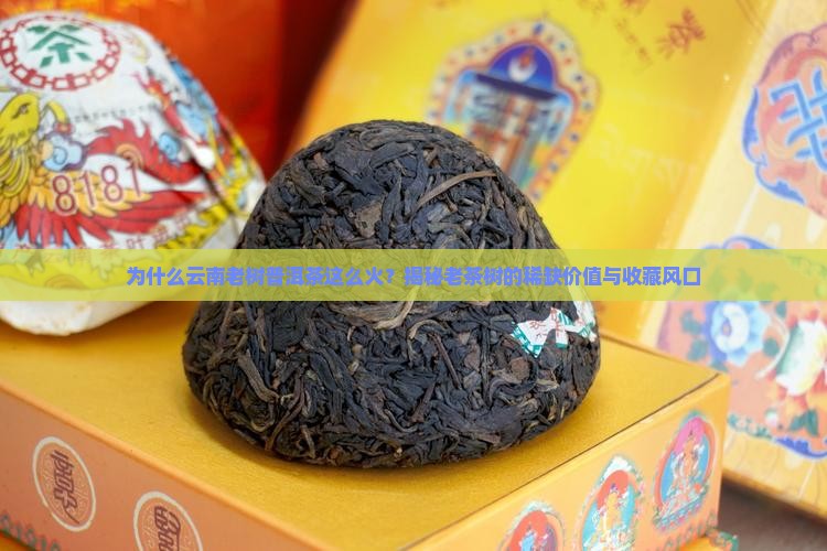 云南茶叶普洱茶老树