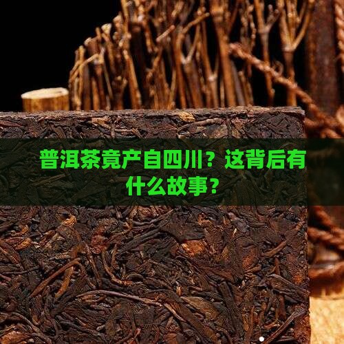普洱茶四川产地