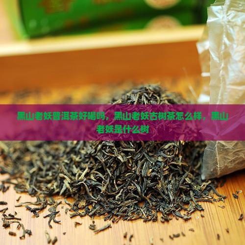 黑山老妖普洱茶好喝吗