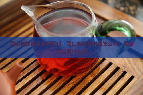 黑山老妖普洱茶好喝吗
