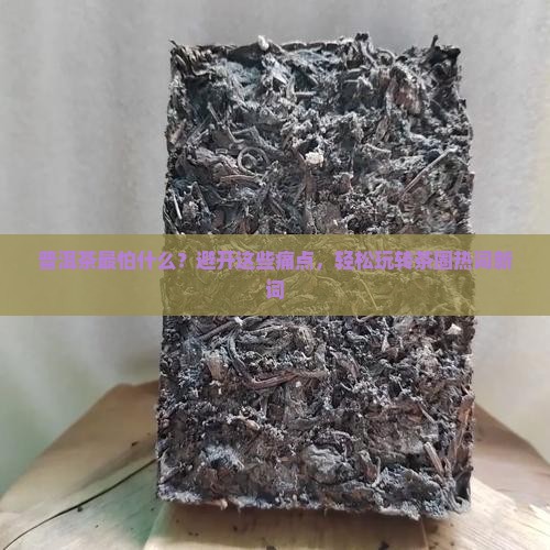 普洱茶最怕什么