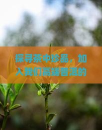 高端普洱茶私人会馆加盟