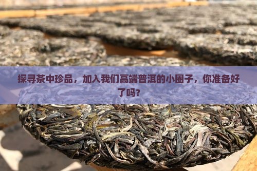 高端普洱茶私人会馆加盟