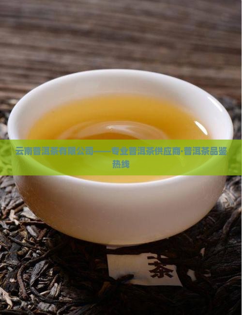 云南熟普洱茶电话