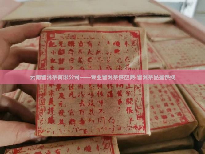云南熟普洱茶电话