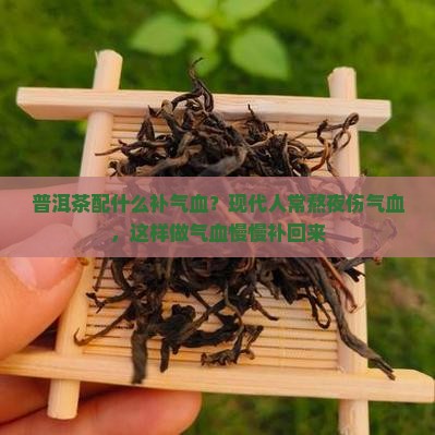 普洱茶配什么补气血