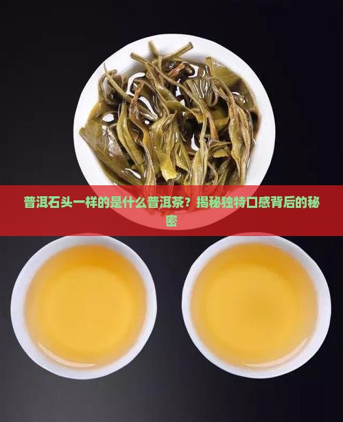 普洱茶饼跟石头一样是什么茶