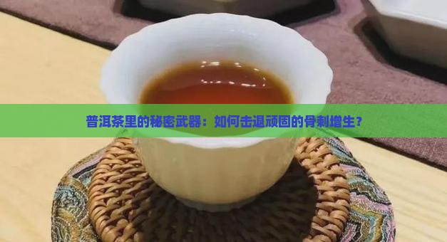 骨刺增生普洱茶
