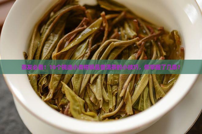 小青柑极品普洱茶