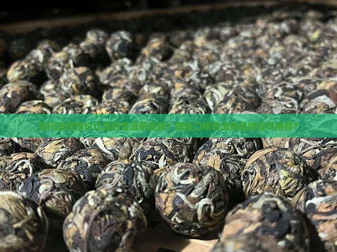 普洱茶品牌推荐口粮