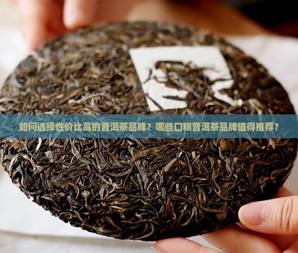 普洱茶品牌推荐口粮