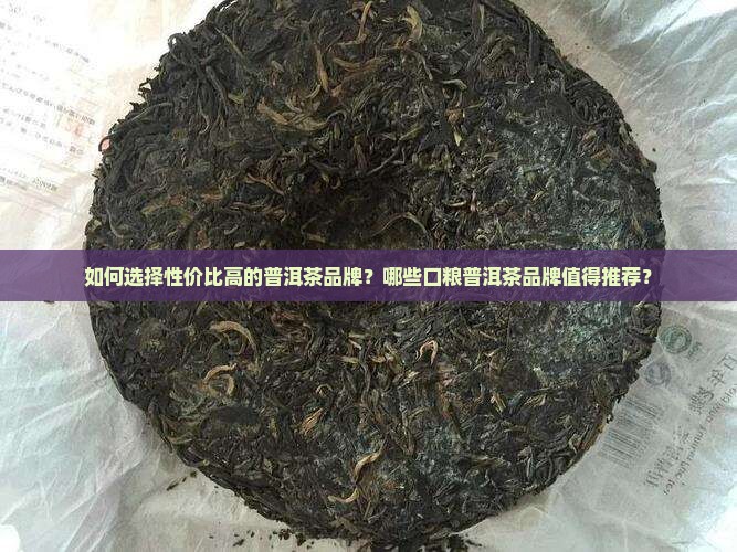 普洱茶品牌推荐口粮
