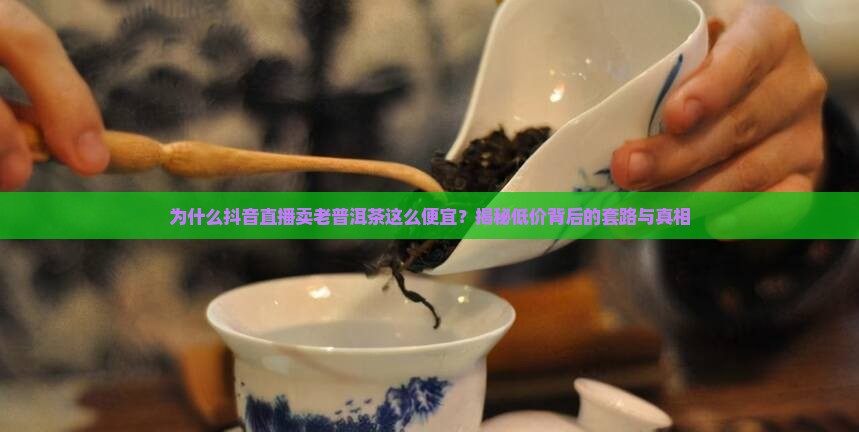 抖音直播卖老普洱茶为啥便宜