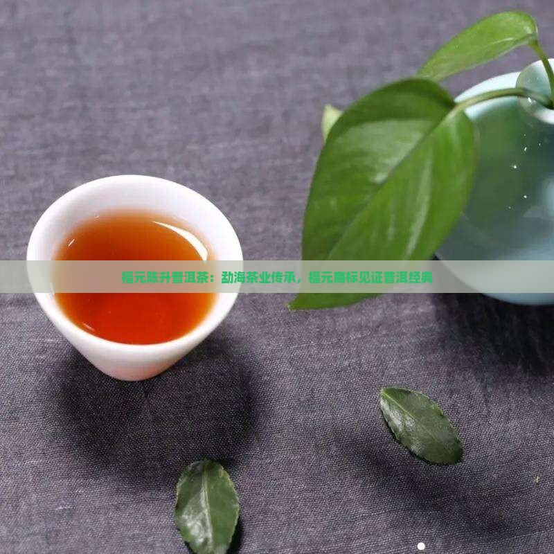 南昌福元昌普洱茶