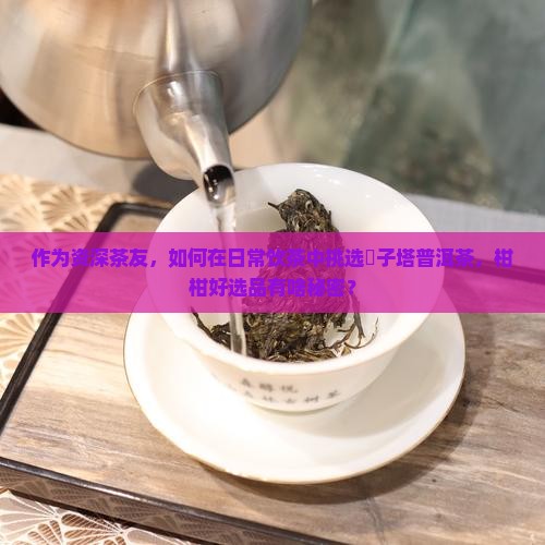 柑柑好的普洱茶选用麑子塔