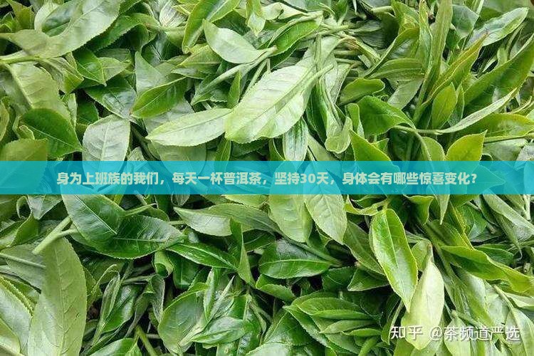 长期坚持喝普洱茶好处是什么